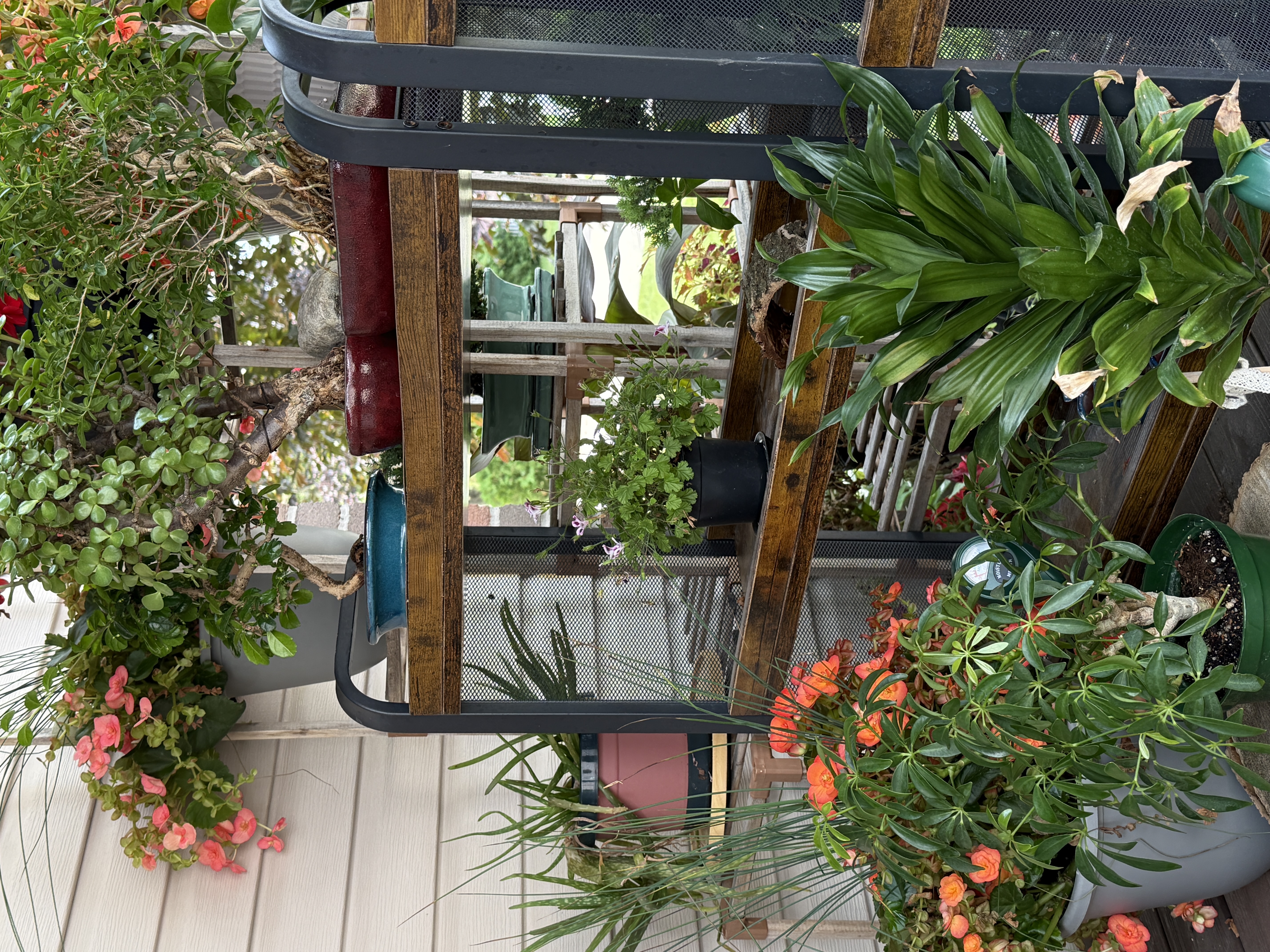 My Garden Patio Cart