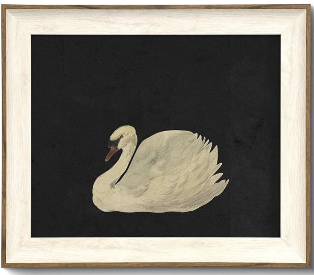 Swan Print