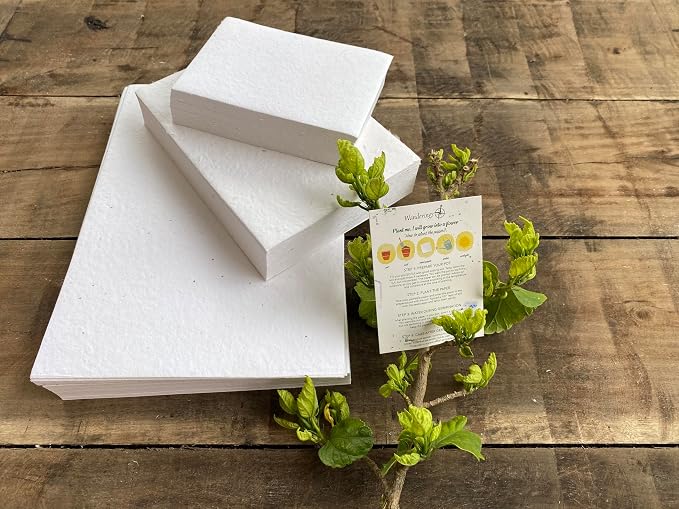 Flower seed paper