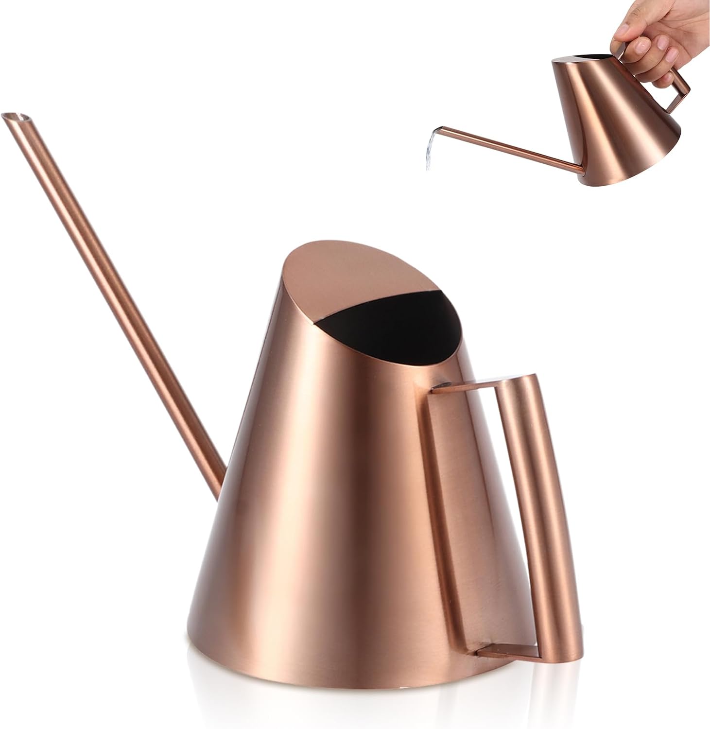 Pot